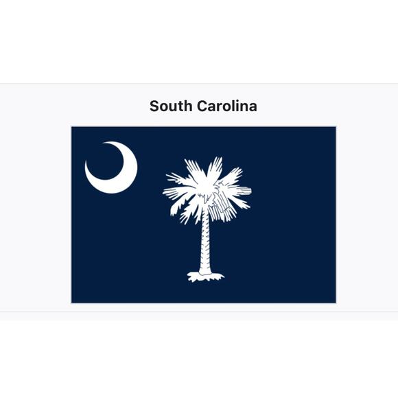 Handmade Patriotic South Carolina Bear - Picture 7 of 7